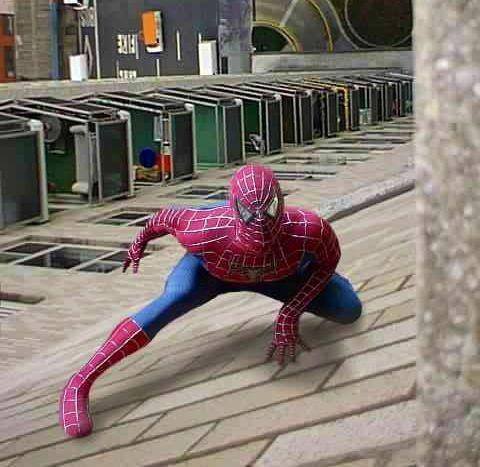 spiderman - available for your event!